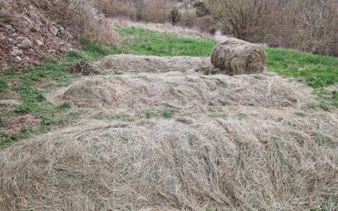 Paillage et Couverts Végétaux : Stratégies pour un Sol Vivant et Fertile
