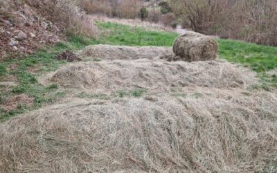 Paillage et Couverts Végétaux : Stratégies pour un Sol Vivant et Fertile
