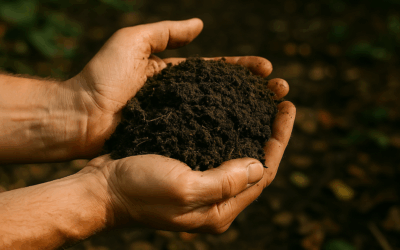 L’Humus : L’Or Noir de Votre Jardin, Secret d’un Sol Vivant et Fertile